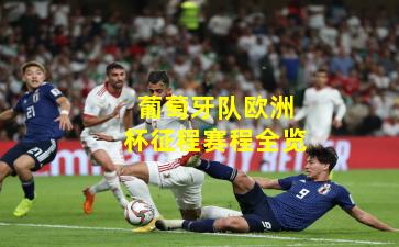 葡萄牙队欧洲杯征程赛程全览