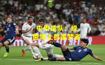 中甲球队：绿茵场上的追梦者