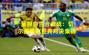 蓝狮白百合激战：切尔西热刺经典对决集锦