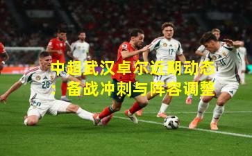 中超武汉卓尔近期动态:备战冲刺与阵容调整